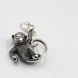 Brighton monkeying around custom snap charm